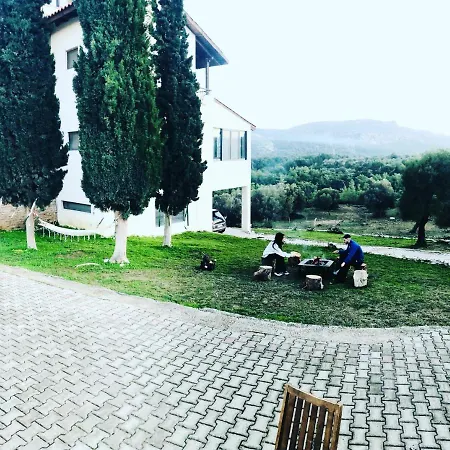 Elena's Country &