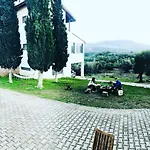 Elena's Country &