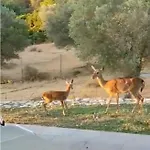 Elena's Country & בית נופש קאליתיאס
