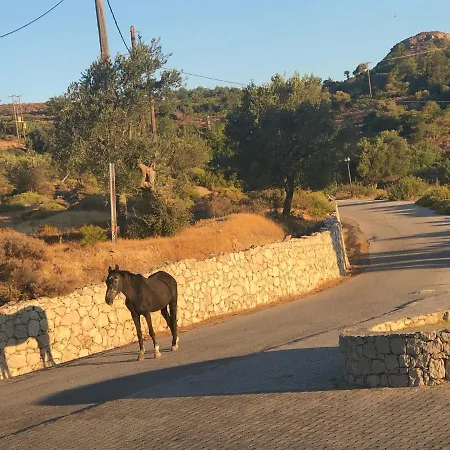 Elena's Country & בית נופש