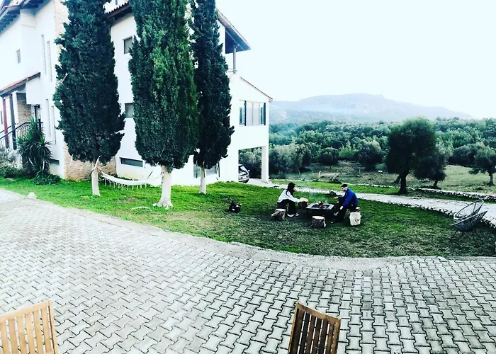 Elena's Country &